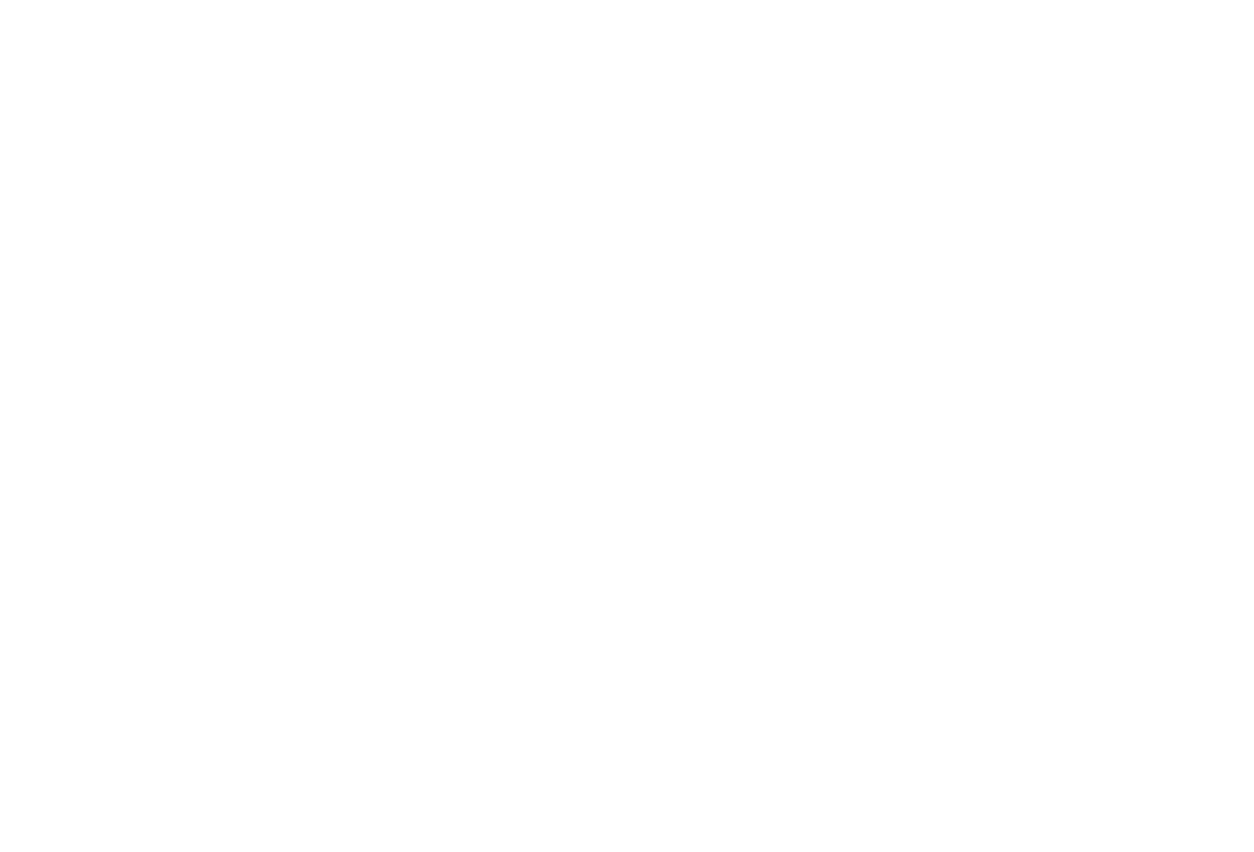 VS-NUANCE